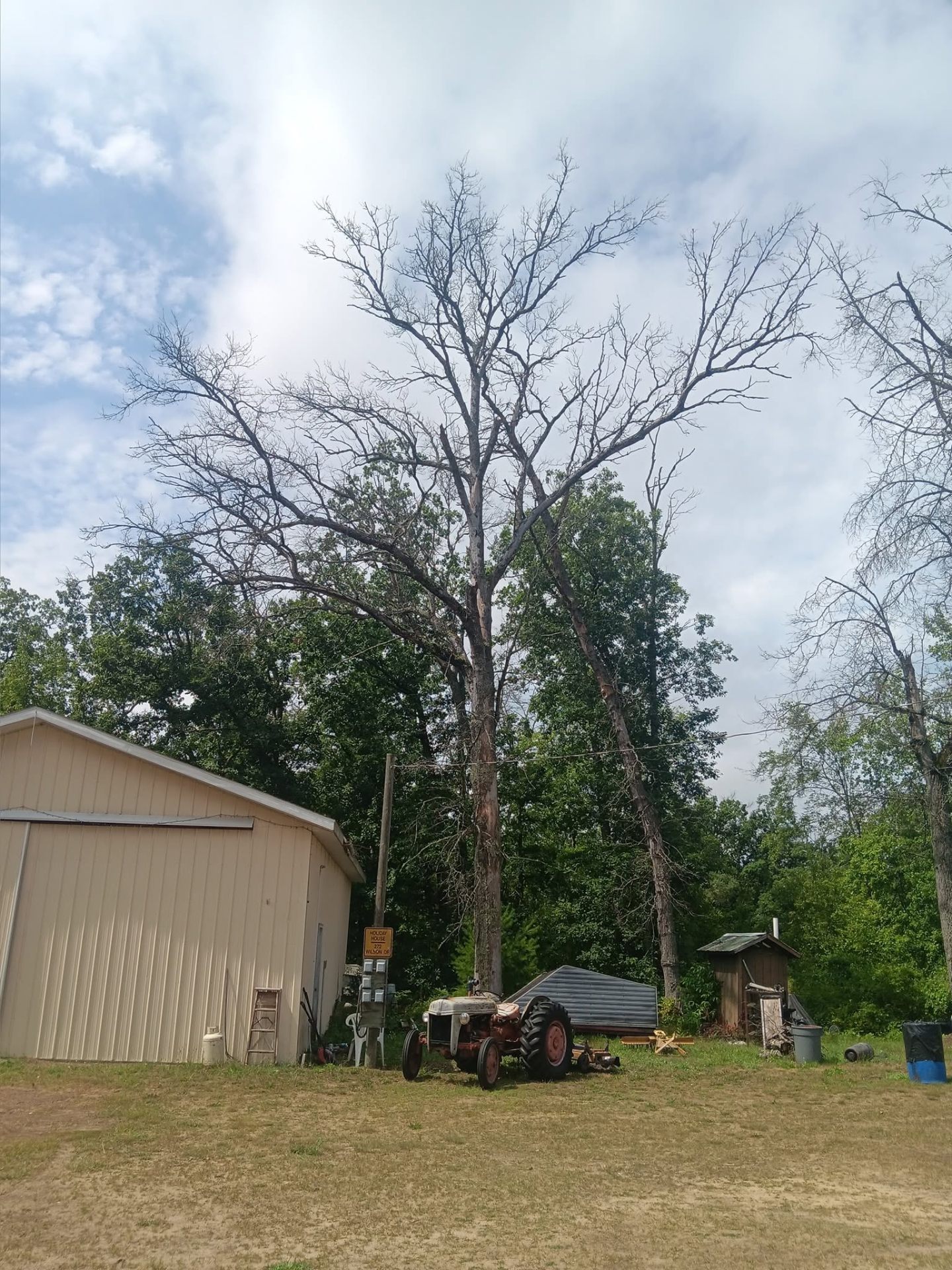 Tree Health Care